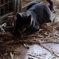 Photo of Storm And Blizzard