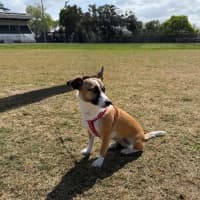 Photo of Lillie Uffelman