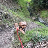 Photo of Winston Quinell