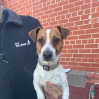 Photo of Bilbo Baggins