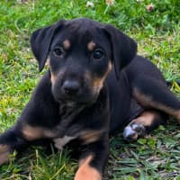 Photo of Kleo