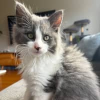 Photo of Geoffrey