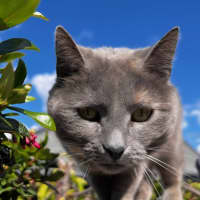 Photo of Mishka