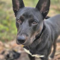 Photo of Sally