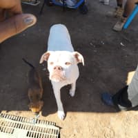 Photo of Macy