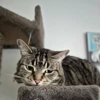 Photo of Marley