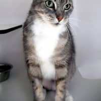 Photo of Maddern Sta014685