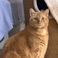 Photo of Bert