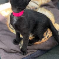 Photo of Einstein (9991)