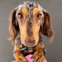 Photo of Oakleigh