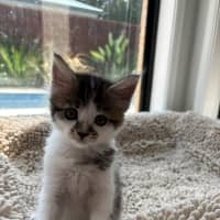 Photo of Trixie And Catya