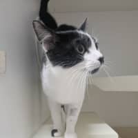 Photo of ⚓ Captain 6688 ⚓