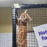 Photo of 👋 Kenneth 6074 👋