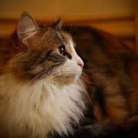 Photo of Mystic 