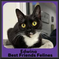 Photo of Edwina 