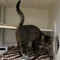 Photo of Junebug