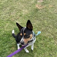 Photo of Leela
