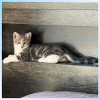 Photo of Loui