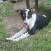 Photo of Jill