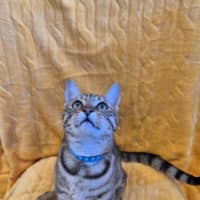 Photo of Noddy