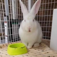 Photo of Gabriel (Gabe)