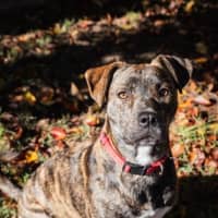 Photo of Benny Lozano