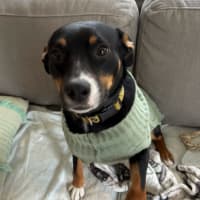 Photo of Cece