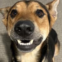 Photo of Thor