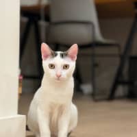 Photo of Agatha