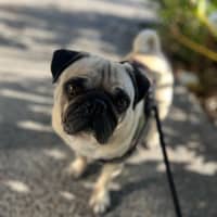 Photo of Casper 👻