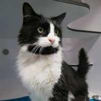 Photo of Oscar Sta010749