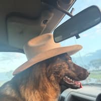 Photo of Sarge