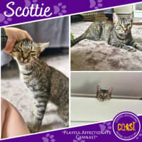 Photo of Scottie
