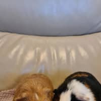 Photo of Maddox & Jace