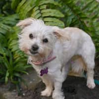 Photo of Minnie