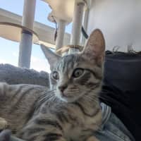 Photo of Meridith Grey