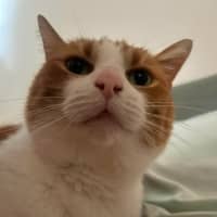 Photo of Charlie 