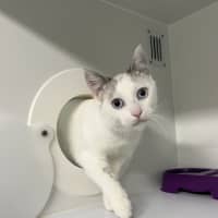 Photo of Finley 