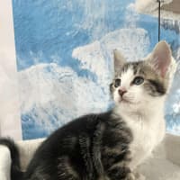 Photo of Tiggy