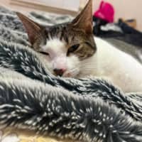 Photo of Esmeralda