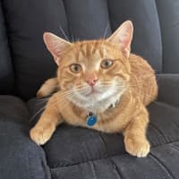Photo of Ninja