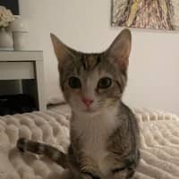 Photo of Tinkabell 