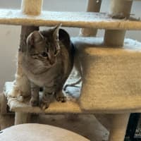 Photo of Kevin