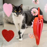 Photo of Mowie