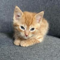 Photo of Spud & Squid