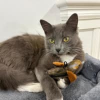 Photo of Keisha