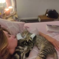 Photo of Bertie & Bolt 