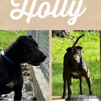 Photo of Holly