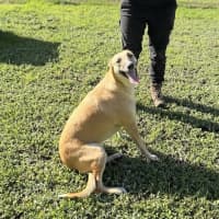 Photo of Zena
