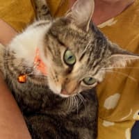 Photo of Bonny